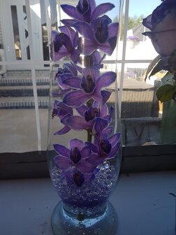 vaas met orchidee ,nu12 