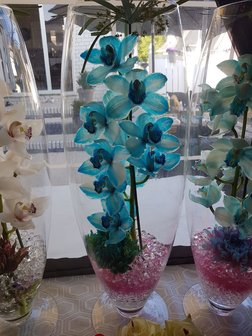 Orchidee in vaas