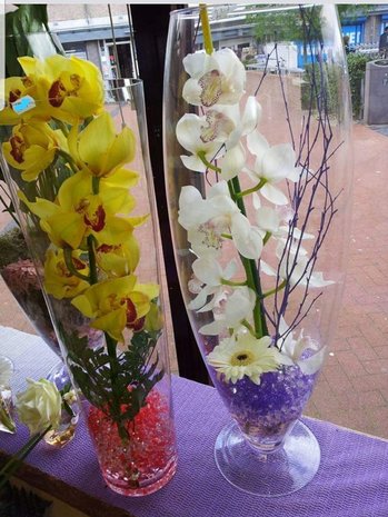 Orchidee in vaas