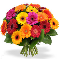 Gewone boeket bloemen